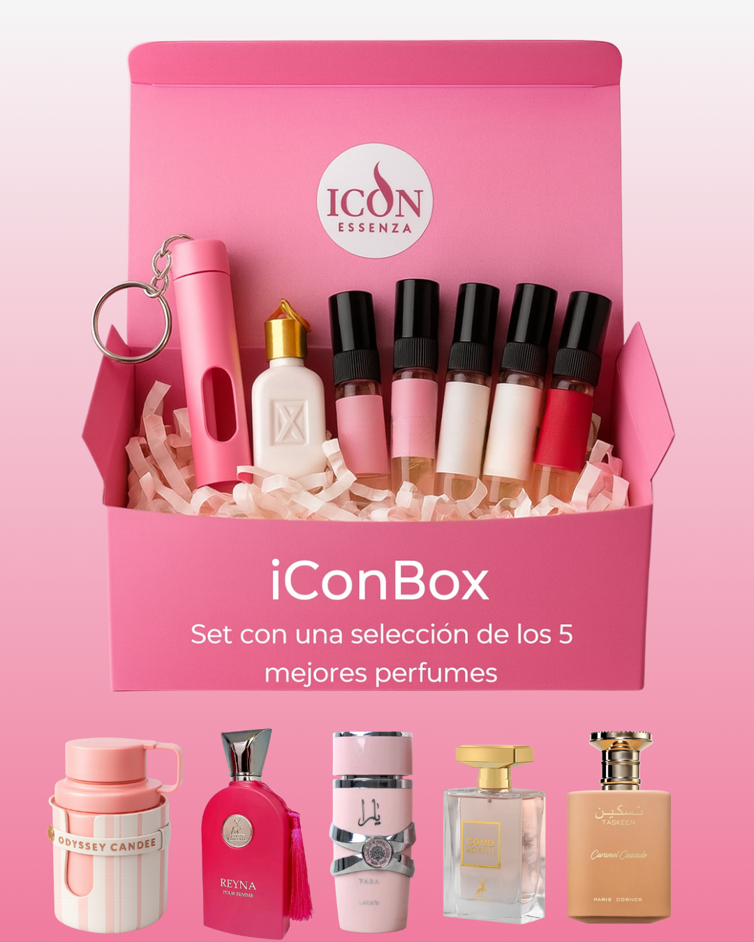 IConBox Femenina